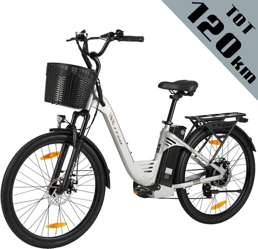 TTGO C2 PRO Elektrische Fiets 250W Motor 36V18Ah Accu 26x1.95 Banden Max Snelheid 25km u Max Bereik 80-120km Shi o 7 Versnellingen Zilver