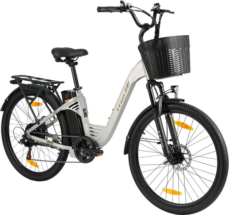 TTGO Elektrische Fiets C2 Pro 250W Motor 36V 18Ah Accu Bereik 80-120km 26 Banden Elektrische Stadsfiets Shi o 7-Speed 25km u Zilver