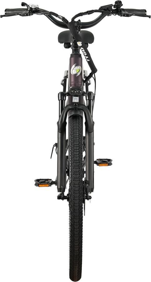 TTGO Elektrische Stadsfiets C3 SE 250W Motor 36V 18Ah Accu 28 Inch Bereik tot 120km Shi o 7-Snelheden Max 25km u Paars