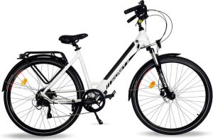 Urbanbiker Sidney Elektrische Stadsfiets- Afneembare Lithium Accu 504WH (48v 17 5Ah) Samsung Cellen 250W Motor Zwart 26 inch 7 Versnellingen Hydraulische Rem Unisex