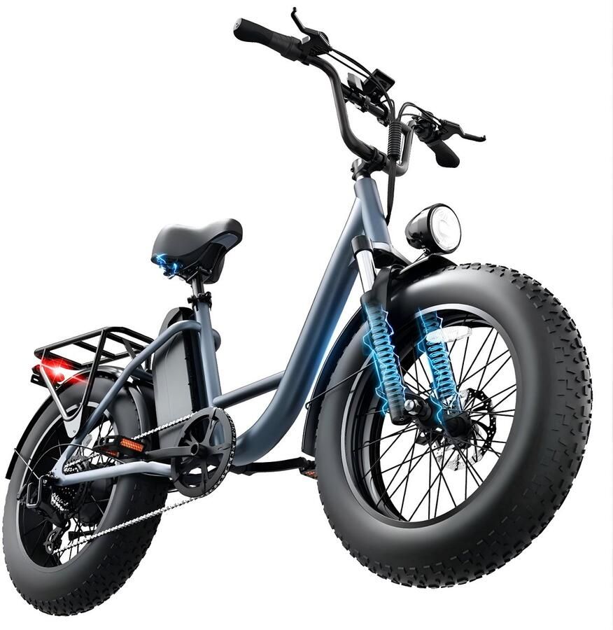 URlife E20PRO 20x4 elektrische fiets met uitneembare 48V 15 6Ah-accu