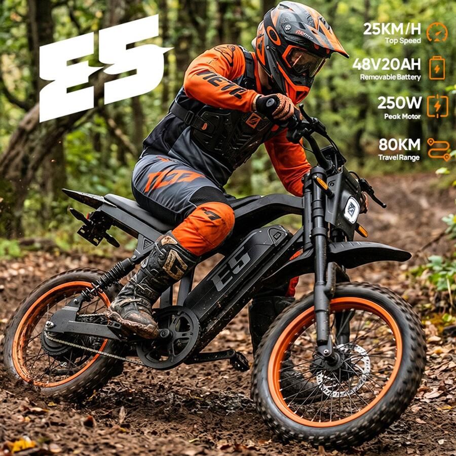 URlife E5 elektrische fiets met uitneembare 48V 20Ah-accu - Foto 1