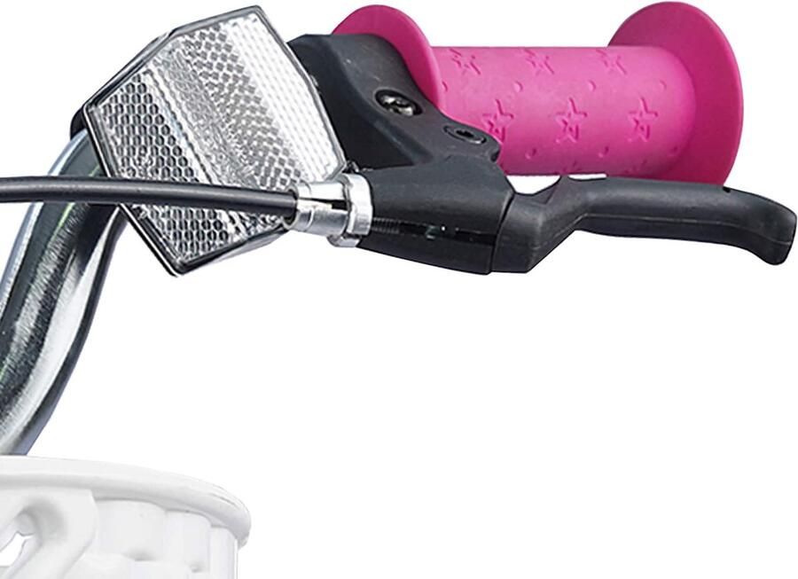 VidaXL Kinderfiets 20 Inch voor 6-11 jaar oud Donkerroze