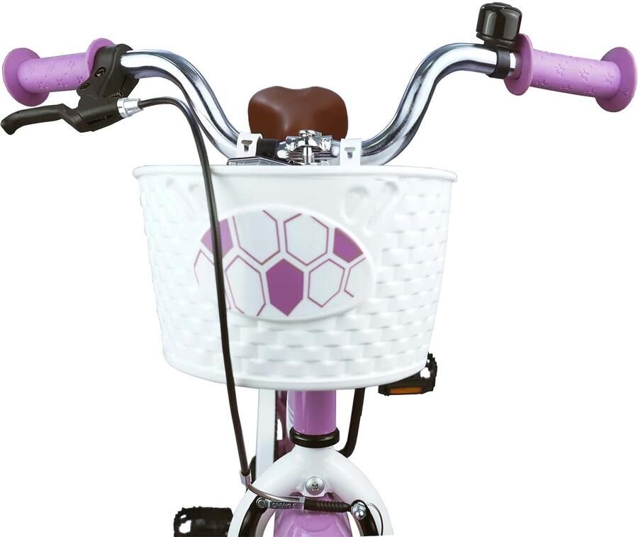 VidaXL Kinderfiets 20 Inch voor 6-11 jaar oud Paars