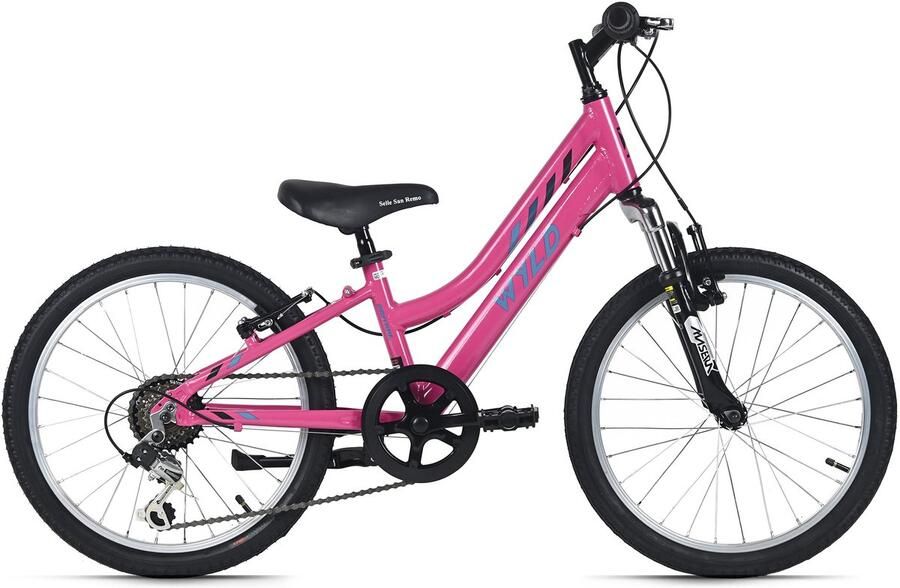 WYLD Kinderfiets 20 Mistral Roze 6 Versnellingen RH 27 cm – Vanaf 6 jaar