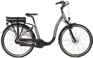 BIMAS Elektrische fiets E-Comfort 54 cm Grijs 450 Wh Grijs