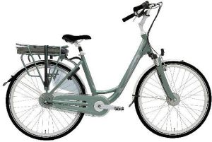 Vogue Elektrische fiets Basic 49 cm Groen 468 Wh Groen