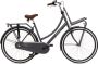 Popal Daily Dutch Basic+ N3 Transportfiets Stadsfiets Dames 47 centimeter Petrol Blauw - Thumbnail 2