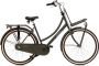 Popal Daily Dutch Basic+ N3 Transportfiets Stadsfiets Dames 53 centimeter Army Green - Thumbnail 2