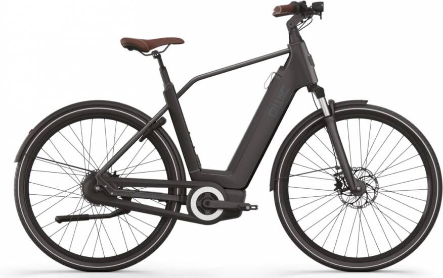 Qwic Elektrische stadsfiets Premium Q MN8 framemaat XL Mat... Mat zwart